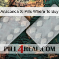 Anaconda Xl Pills Where To Buy 17